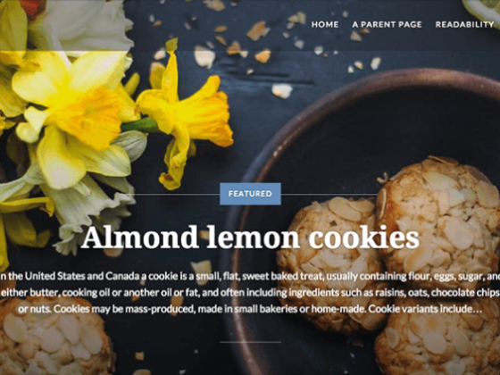 Dyad: A Beautiful Free WordPress Theme for Photographers and Foodies – WP Tavern