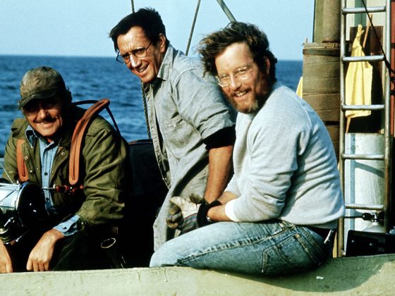 ‘Jaws’ Documentary in the Works From Nat Geo, Amblin – Hollywood Reporter